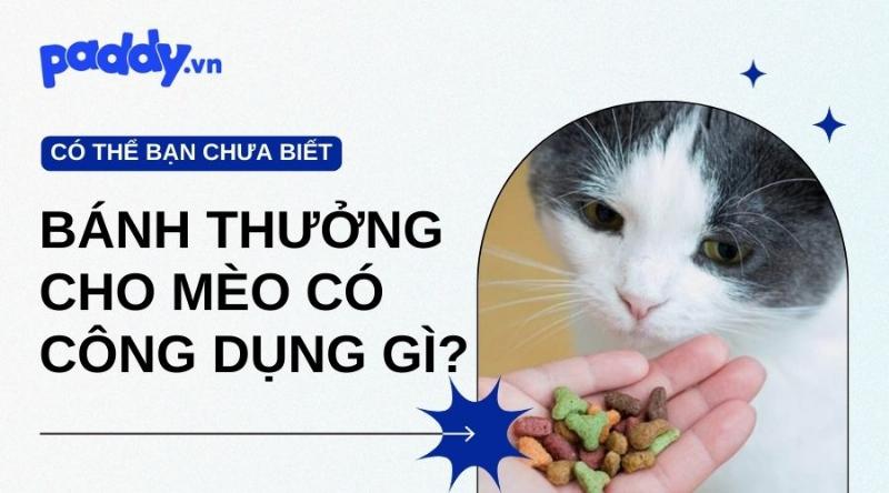Hình ảnh một bác sĩ thú y đang tư vấn cho chủ nuôi về lợi ích của hạt Royal Canin cho chó, thể hiện sự tin tưởng của chuyên gia vào sản phẩm.