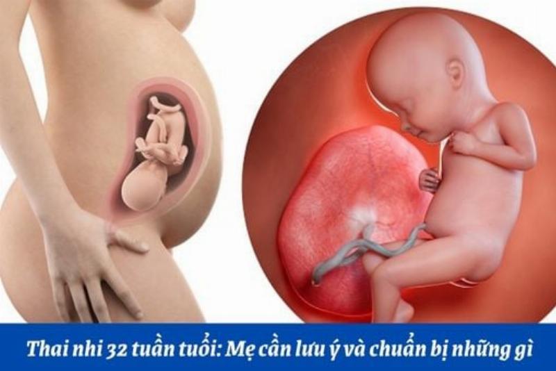 Hình ảnh minh họa các loại thực phẩm bổ sung dinh dưỡng cho chó mẹ (cần tư vấn chuyên gia)