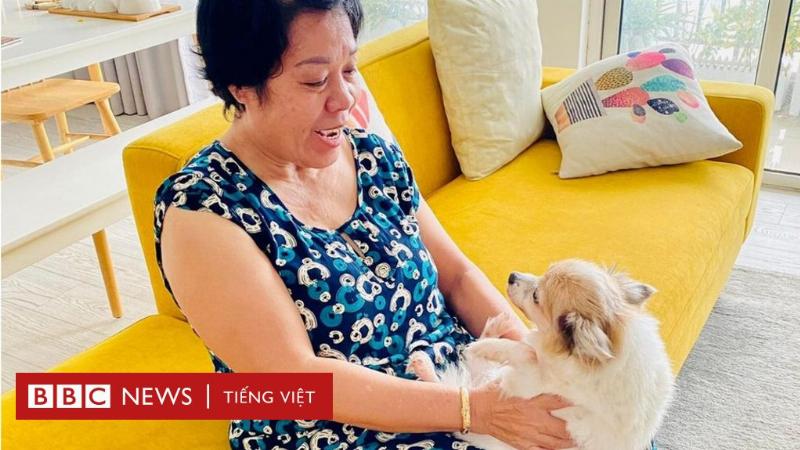 Hinh anh minh hoa nguoi dang can nhac quyet dinh nen nuoi cho hay meo dua tren yeu to ca nhan