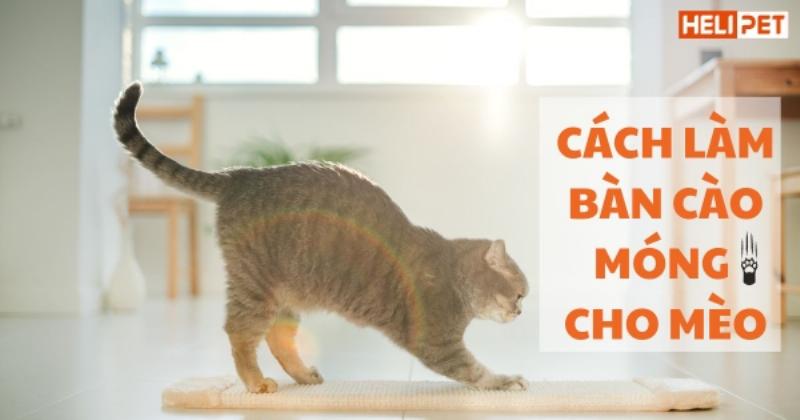 Vật liệu sisal và bìa carton phổ biến cho đồ cào móng mèo