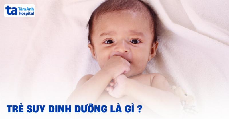 Bat thuc an can bang dinh duong danh cho cho cai