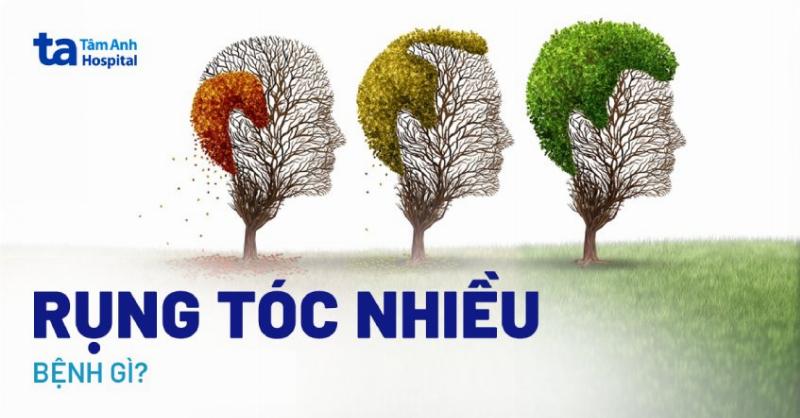 Hinh anh cho bi xa mau the hien cac dau hieu nhu rung long, da do va viem nhin ro