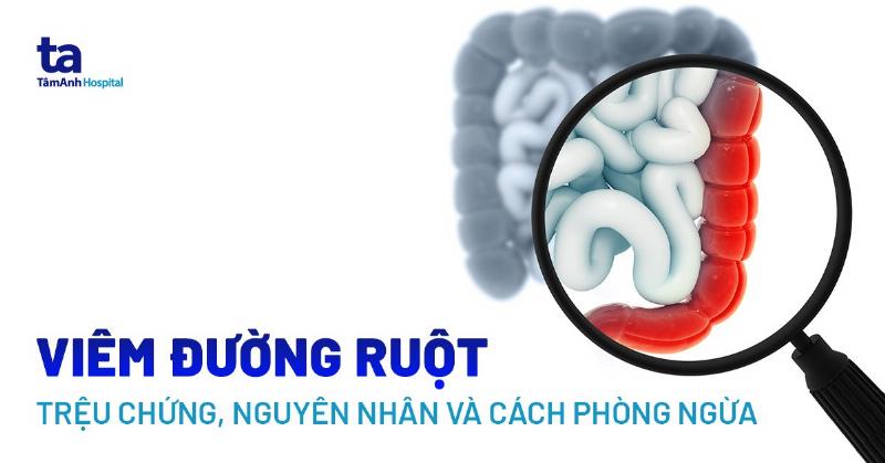 Hinh anh bac si thu y dang kham bung cho cho co dau hieu non ra bot trang nguy hiem