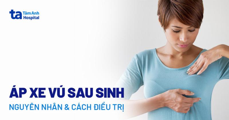 Hình ảnh minh họa chó mẹ có dấu hiệu mệt mỏi hoặc sụt cân sau sinh