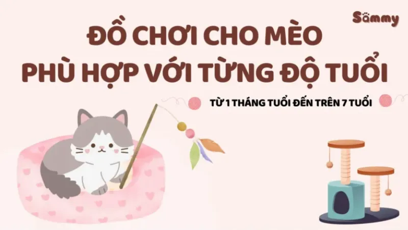 Đồ chơi trí tuệ giúp mèo nhốt rèn luyện trí não