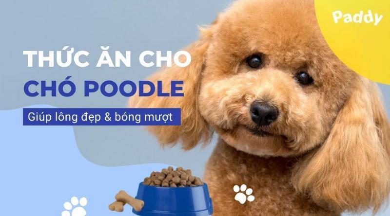 Một chú chó con đáng yêu đang ăn hạt Royal Canin được thiết kế đặc biệt cho lứa tuổi của nó, thể hiện sự ngon miệng và phù hợp dinh dưỡng.