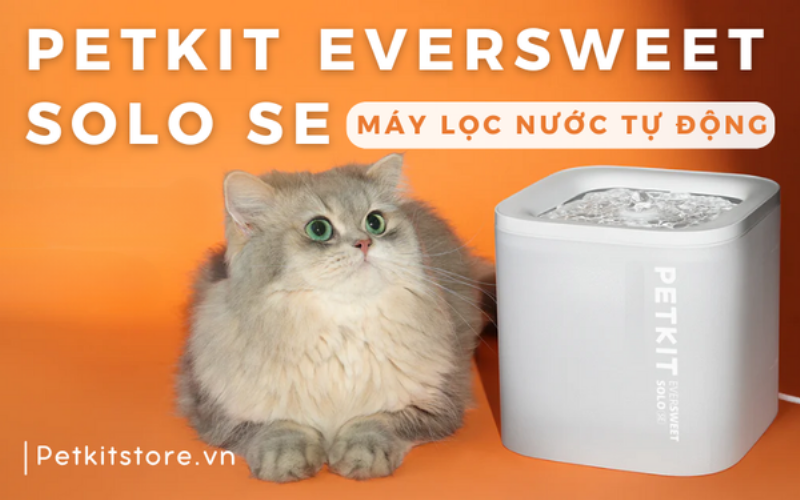 Một chú mèo đang uống nước từ máy uống nước tự động, minh họa lợi ích sức khỏe và sự hấp dẫn của thiết bị.
