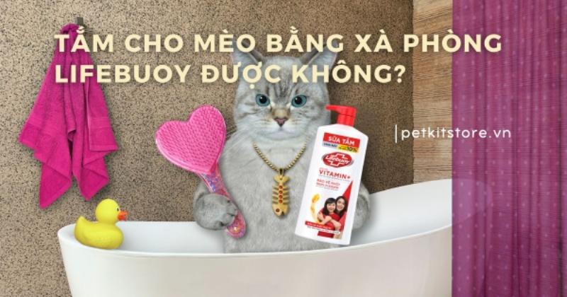 Mèo khỏe mạnh nhờ chăm sóc và phòng ngừa tốt