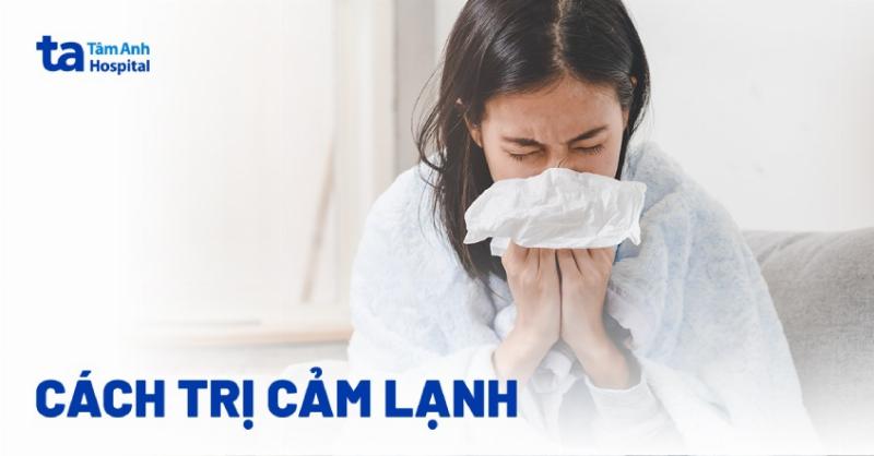 Một chú mèo trông mệt mỏi, nằm nghỉ ngơi, minh họa trường hợp mèo ốm cần thận trọng với cỏ mèo