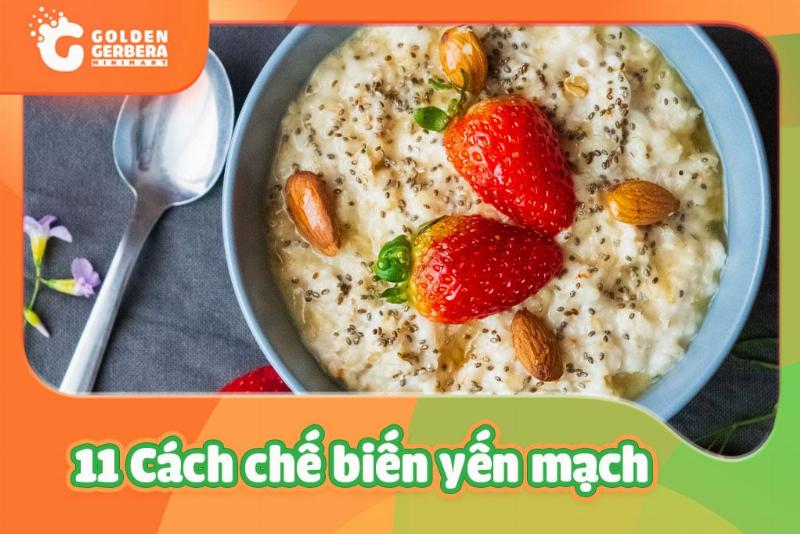 Hình ảnh so sánh các loại cỏ mèo phổ biến như lúa mì, yến mạch, lúa mạch để người đọc dễ phân biệt