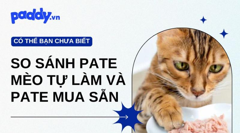 So sanh su khac biet giua pate tuoi lam tai nha va pate dong hop cho meo