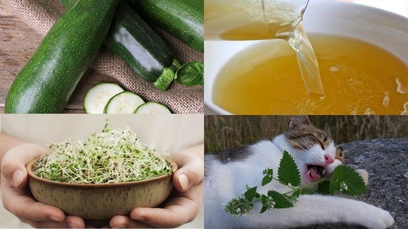 Các bước chế biến pate tự làm cho mèo cưng