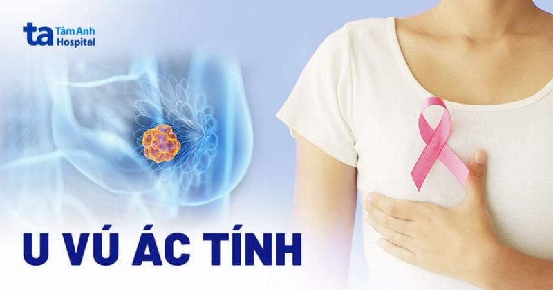 Hình ảnh sắp đặt nhiều loại xương sữa canxi có hình dạng, màu sắc và kích cỡ khác nhau, thể hiện sự đa dạng của sản phẩm