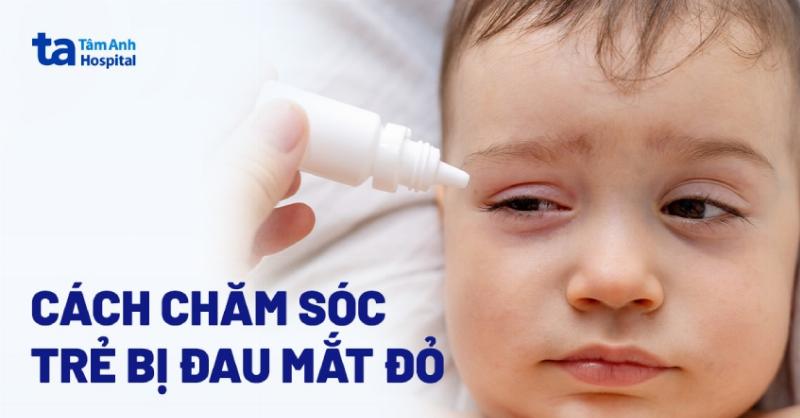Huong dan ve sinh mat cho meo bi dau mat do tai nha dung cach