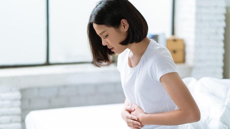 Hình ảnh người chủ đang khéo léo cho mèo uống thuốc tẩy giun dạng viên hoặc lỏng, minh họa kỹ thuật mở miệng và đặt thuốc