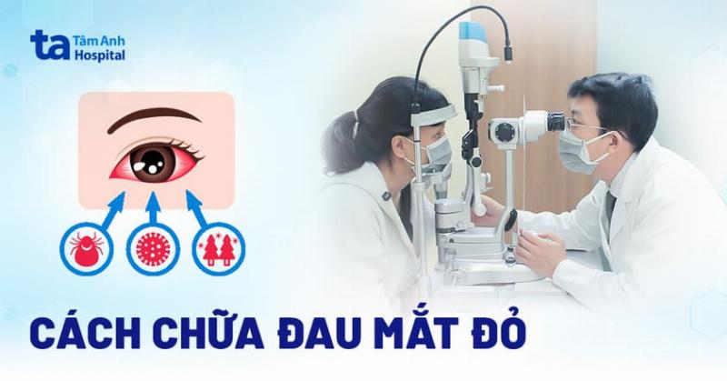 Bac si thu y dang kham mat cho meo bi dau mat do chuyen nghiep