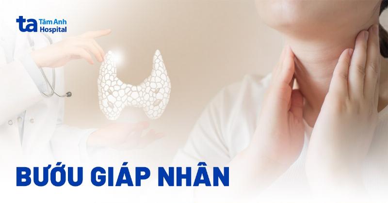 Hình ảnh bác sĩ thú y đang kiểm tra vùng cổ của mèo, nơi có tuyến giáp, trong quá trình khám sức khỏe 