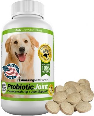 Sử dụng probiotic để chữa viêm đường ruột cho chó