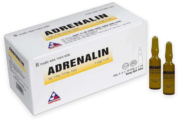 Sử dụng thuốc Adrenalin trong trường hợp chó bị chảy máu mũi