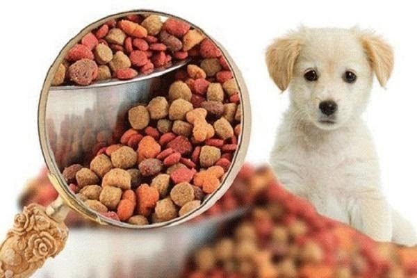 Thức ăn hạt cung cấp nhiều dinh dưỡng giúp kích thích mọc lông chó