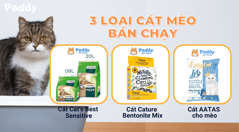 Cát mèo khử mùi tốt và sức khỏe của mèo
