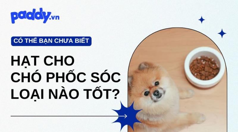 Chế Độ Dinh Dưỡng Cho Chó Phốc Sóc Mini