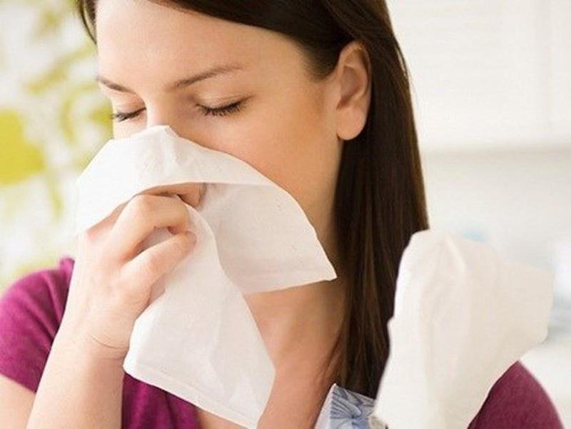 Kiểm tra chó hắt xì ra máu
