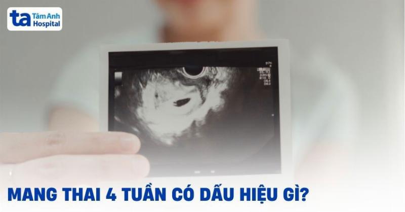 Chó Mang Thai Tuần 4-6