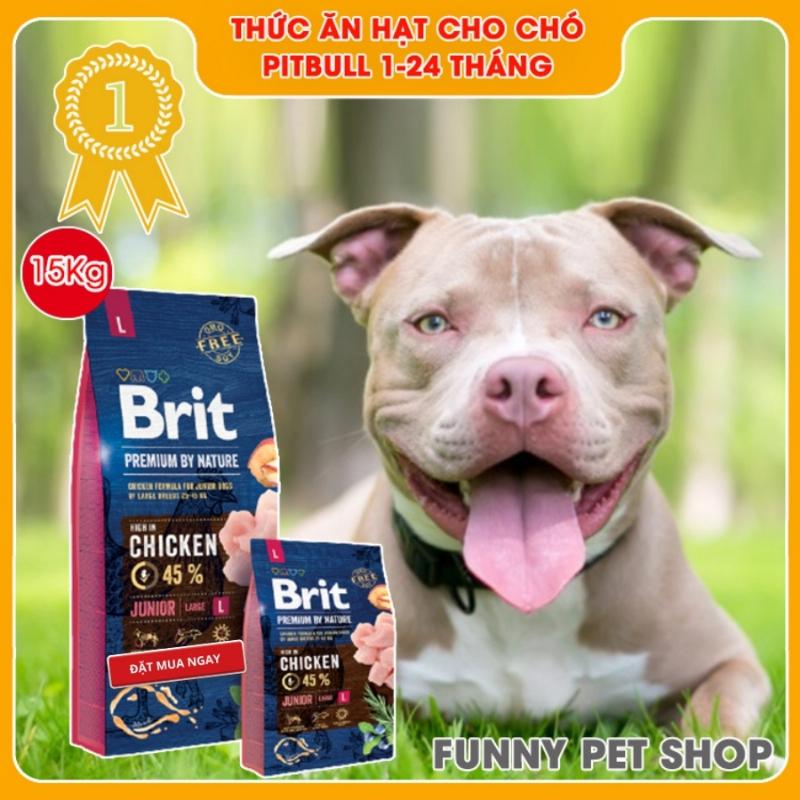 Chó Pitbull Ăn Thịt Gà