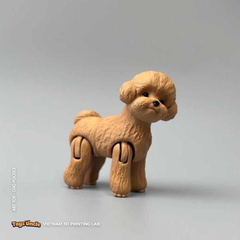 Chó Poodle Tiny: Lựa Chọn