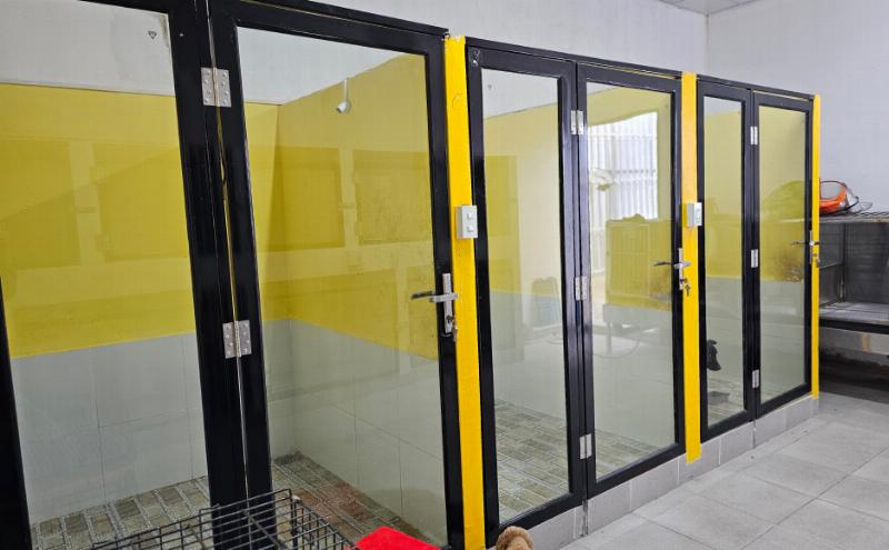 Chủ khách sạn chăm sóc thú cưng