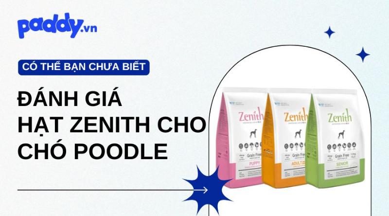 Hạt Zenith cung cấp năng lượng cho chó Poodle