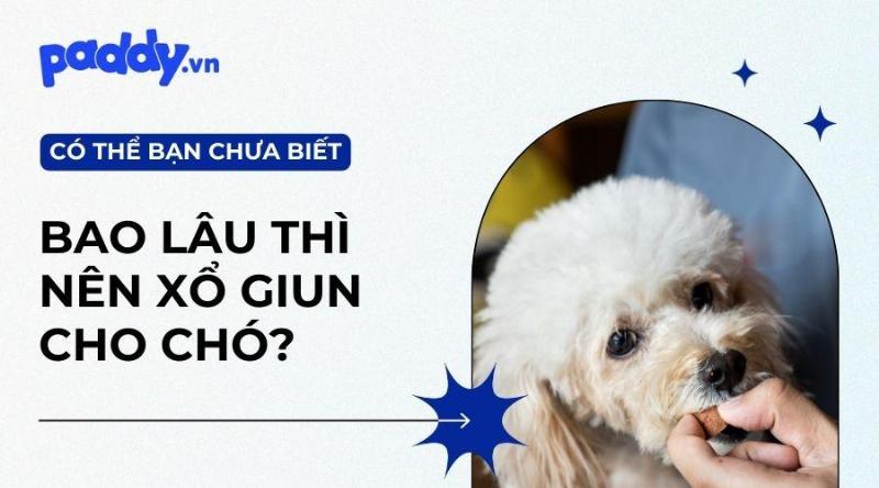 Tẩy giun cho chó con: Lời khuyên từ chuyên gia