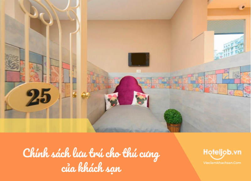 Thú cưng ở khách sạn