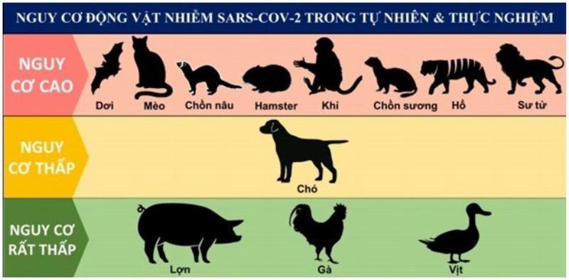 Bác sĩ thú y đang khám và tư vấn cho chủ nuôi về sức khỏe chó