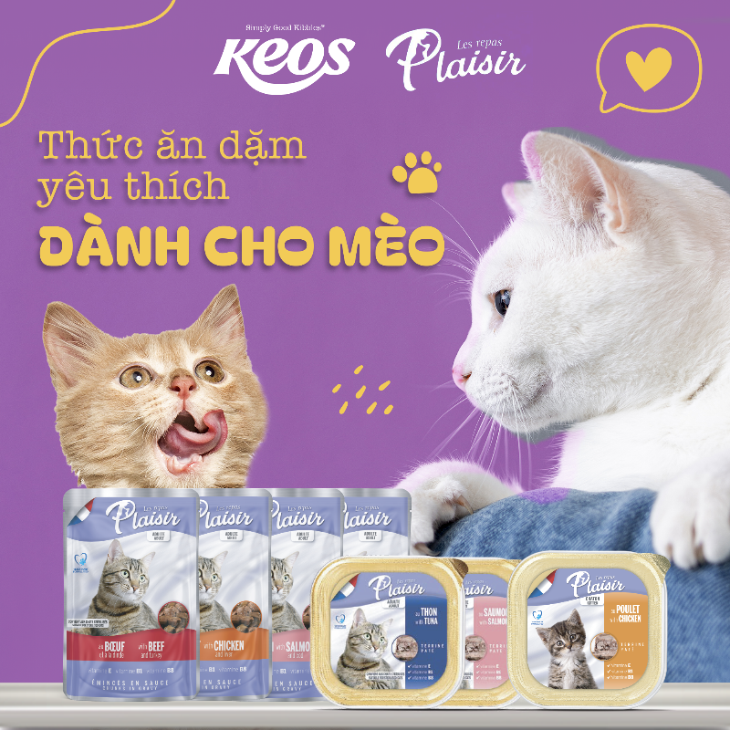 Bảo quản pate mèo đã mở trong hộp kín trong tủ lạnh