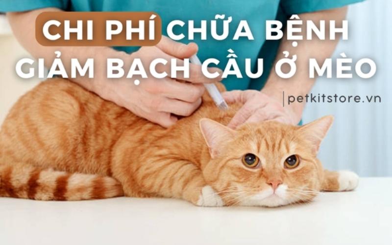 Hình ảnh minh họa virus FPV tấn công cơ thể mèo, gây ra bệnh giảm bạch cầu ở mèo, ảnh hưởng đến hệ miễn dịch.