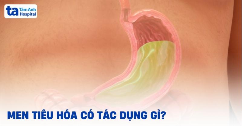 Bổ sung men tiêu hóa