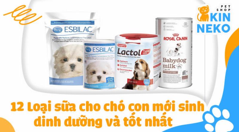 Các Loại Sữa Phù Hợp Cho Chó Con