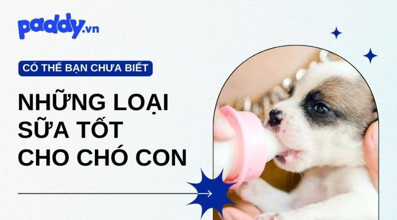 Các Loại Sữa Thay Thế Cho Chó