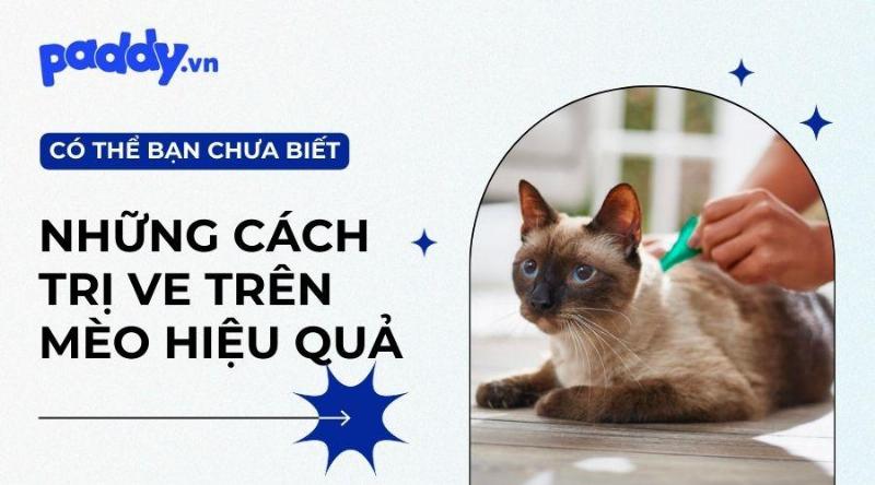 Các loại thuốc nhỏ gáy trị bọ chét