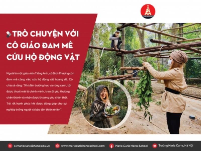 Một chú chó trước và sau khi được cứu hộ và chăm sóc tại trạm, cho thấy sự phục hồi ấn tượng về sức khỏe và tinh thần.