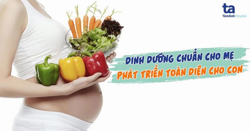 Mèo mẹ mang thai cần chế độ dinh dưỡng đặc biệt, giàu protein và năng lượng