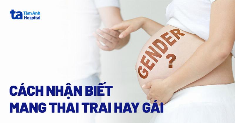 Chẩn đoán chính xác mèo mang thai