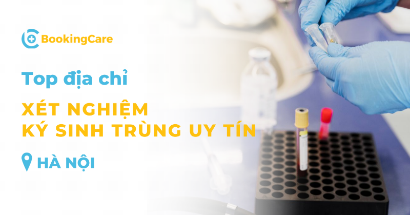 Bác sĩ thú y lấy mẫu máu chẩn đoán ký sinh trùng máu ở chó tại phòng khám