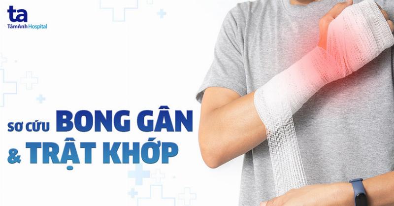 Chó Bị Trật Khớp Chân Sau: Hình ảnh minh họa cách chăm sóc chó sau khi điều trị trật khớp chân sau, bao gồm nghỉ ngơi và bổ sung dinh dưỡng.