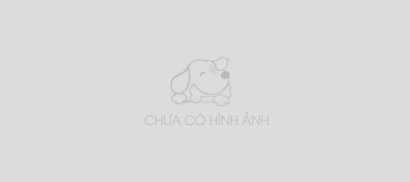 Chó Cái Động Dục
