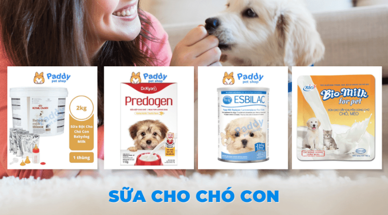 Chó Con Uống Sữa Ông Thọ