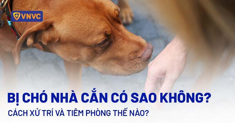 Chó khỏe mạnh bên chủ