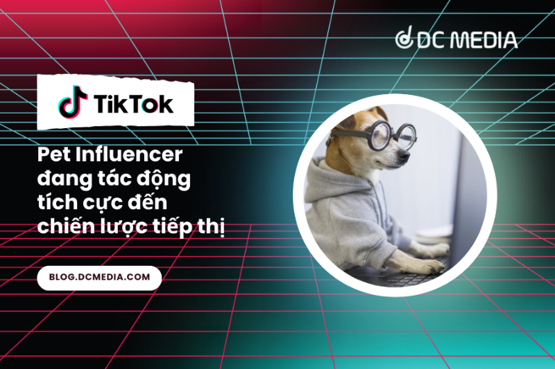 Một nhóm người yêu mèo đang tương tác vui vẻ với những chú mèo khác nhau, thể hiện sự gắn kết cộng đồng và chia sẻ kinh nghiệm chăm sóc thú cưng, liên quan đến việc tìm hiểu thông tin như mèo ăn mít được không.